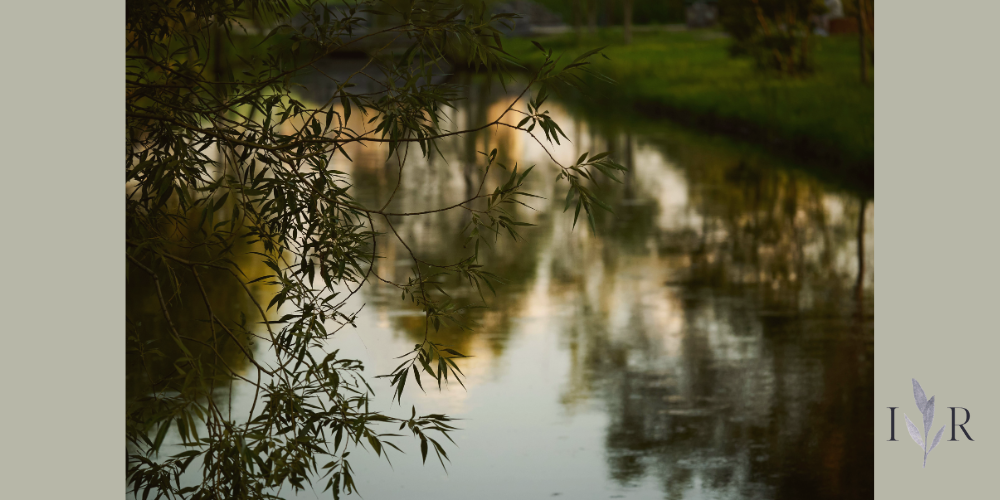 constant notifications mental calm nature reflection water